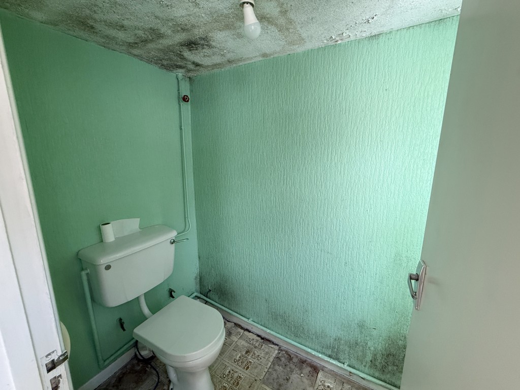 Lot: 95 - HOUSE IN NEED OF IMPROVEMENT - Downstairs W.C. in House in Need of Improvement